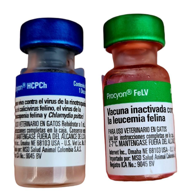 VACUNA TRIPLE FELINA + LEUCEMIA PROCYON